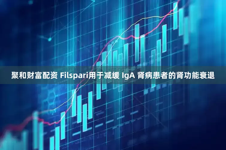 聚和财富配资 Filspari用于减缓 IgA 肾病患者的肾功能衰退